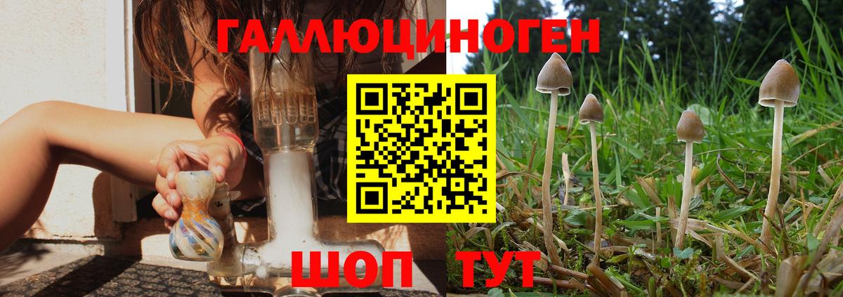 Галлюциногенные грибы мухоморы  Галлюциногенные грибы мицелий  купить закладку  Грязи  Вход с VPN 